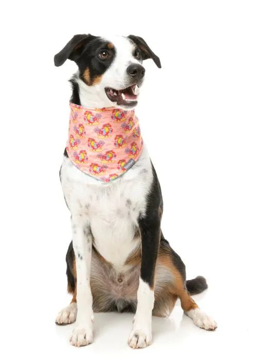 Fuzzyard Cooling Bandana - Two Cans - Woonona Petfoods