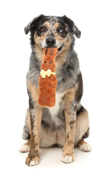 Fuzzyard Dog Toy - Easter Sir Choc Bunny - Woonona Petfoods