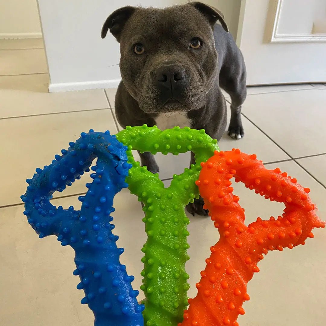 Happy Staffy Co. Tommy Tug Handle - Woonona Petfoods