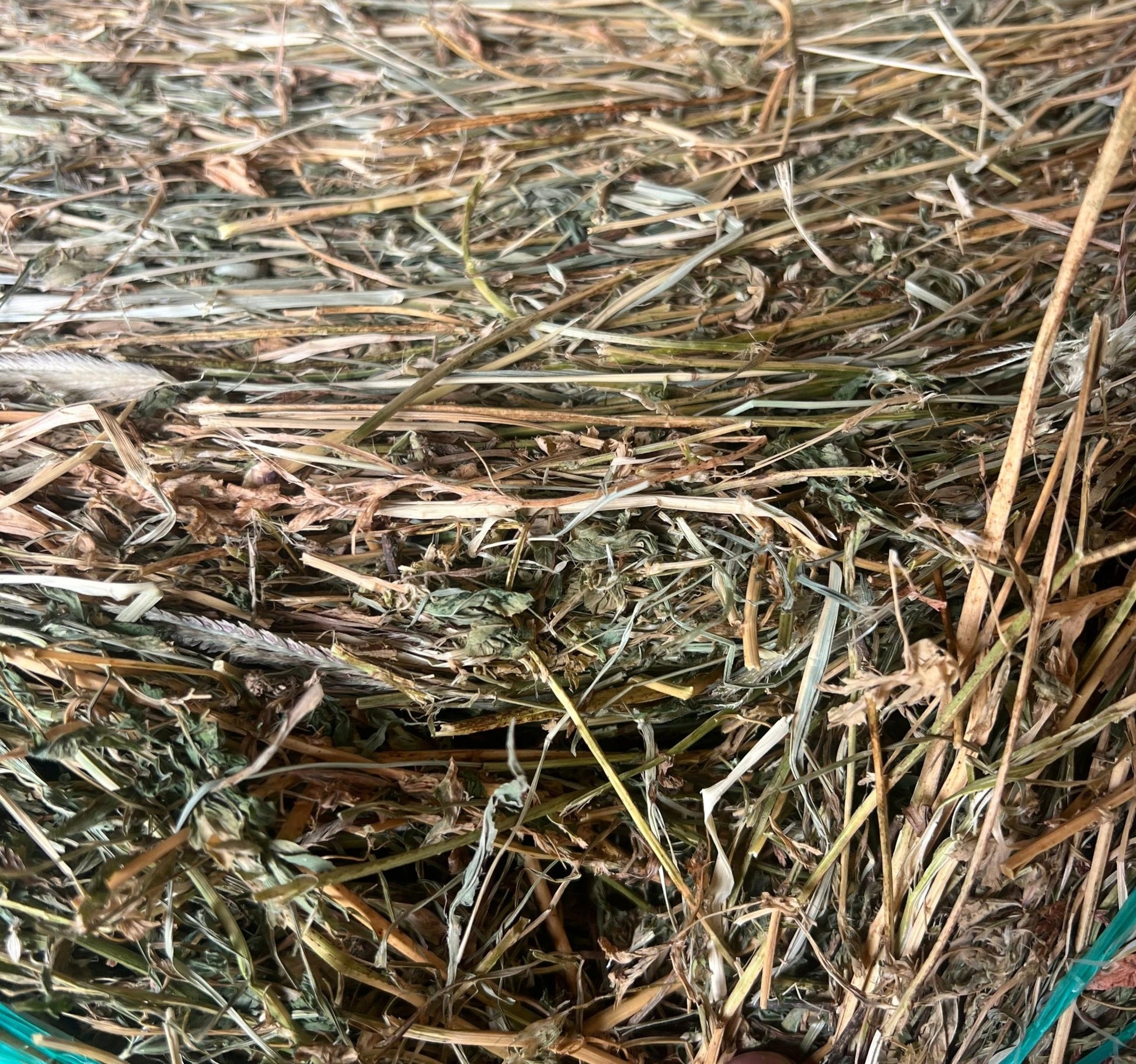 Hay Lucerne Grass Round 4 x 4 275kg approx - Woonona Petfoods
