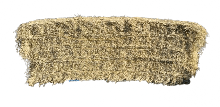 Hay Teff 8 x 3 x 3 450kg - Woonona Petfoods