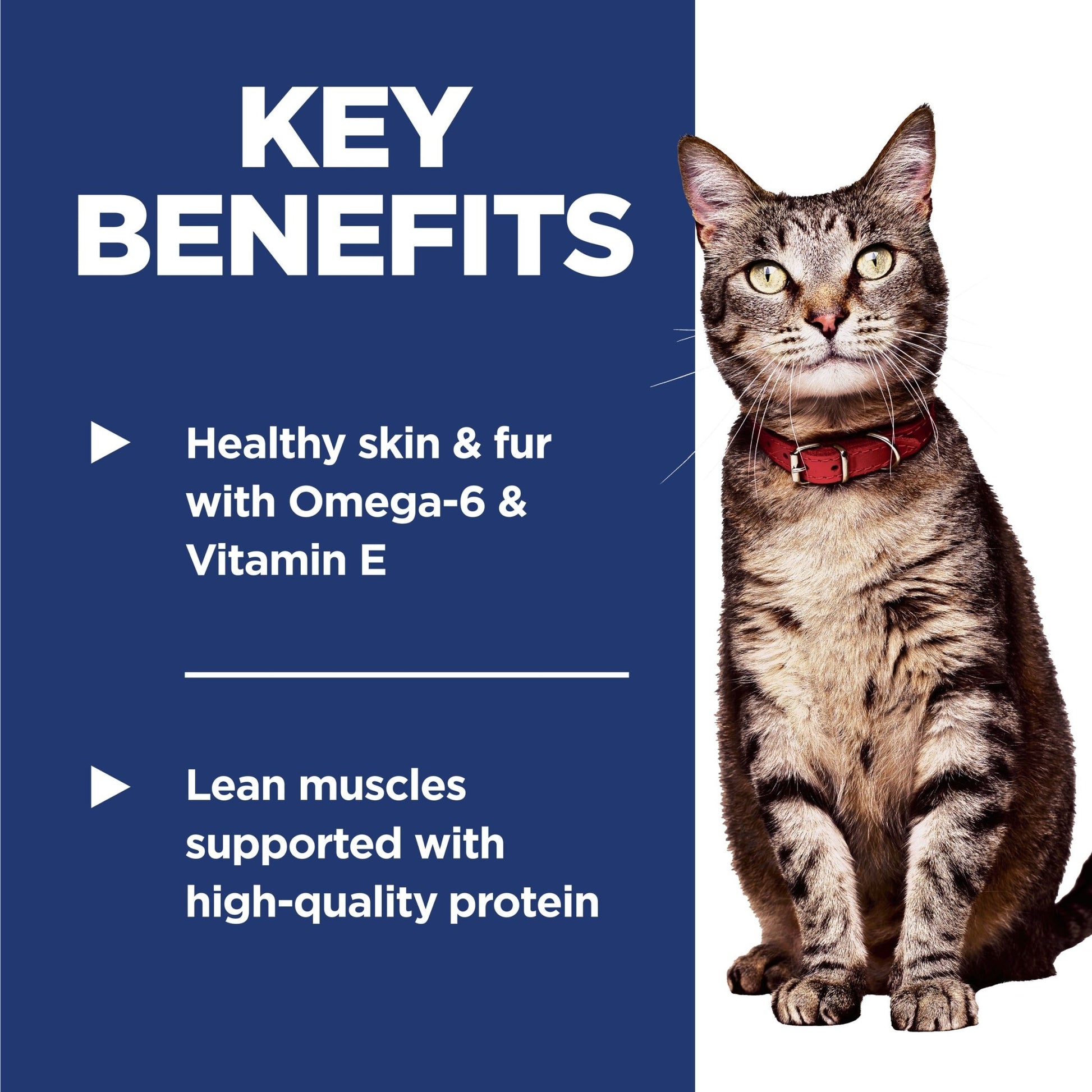 Hill's Science Diet Adult Dry Cat Food - Woonona Petfoods