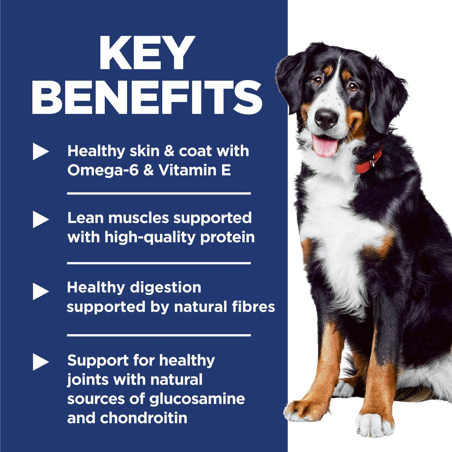 Hill's Science Diet Adult Large Breed Lamb & Brown Rice Dry Dog Food 14.97kg - Woonona Petfoods