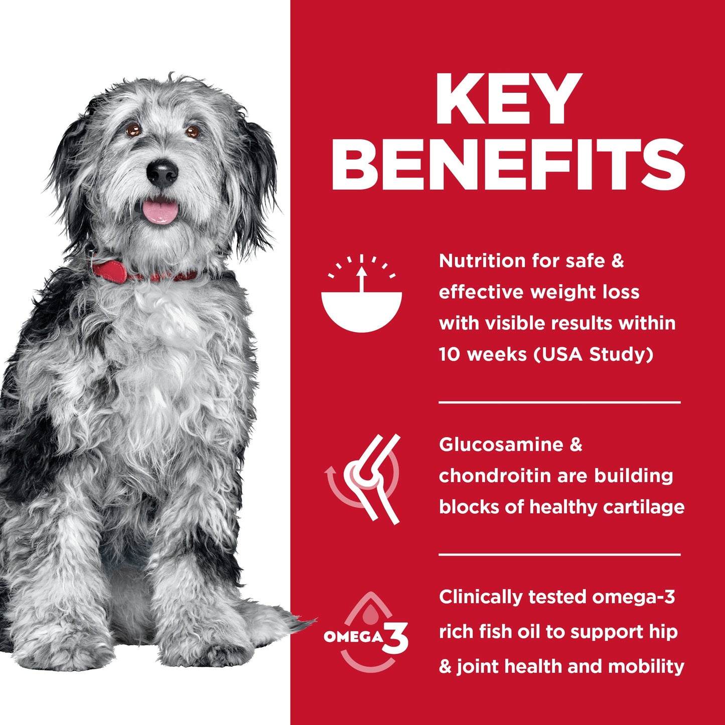 Hill's Science Diet Adult Perfect Weight + Joint Support Dry Dog Food - Woonona Petfoods