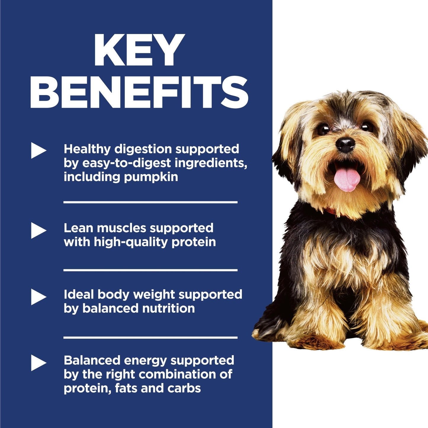 Hill's Science Diet Adult Small and Mini Breed Dry Dog Food 1.5kg - Woonona Petfoods