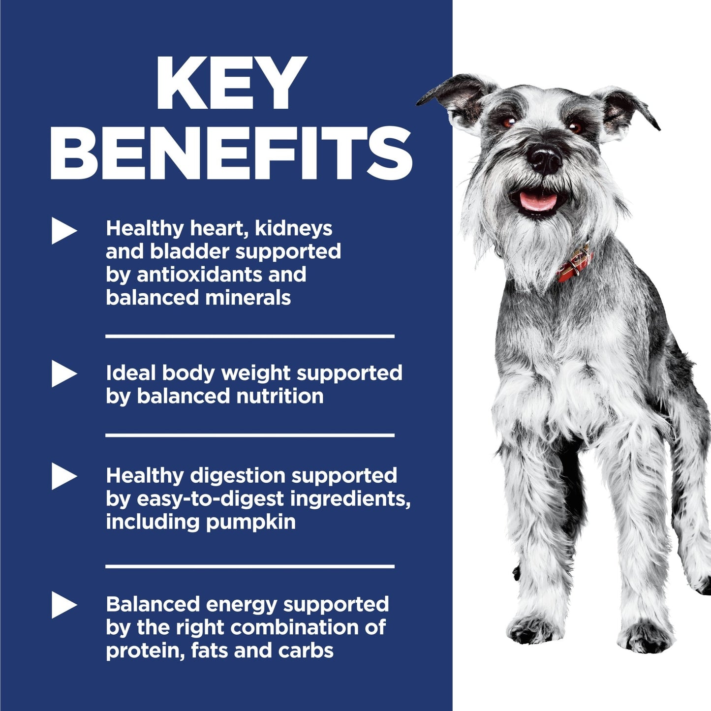 Hill's Science Diet Adult Small and Mini Senior 7+ Dry Dog Food 1.5kg - Woonona Petfoods