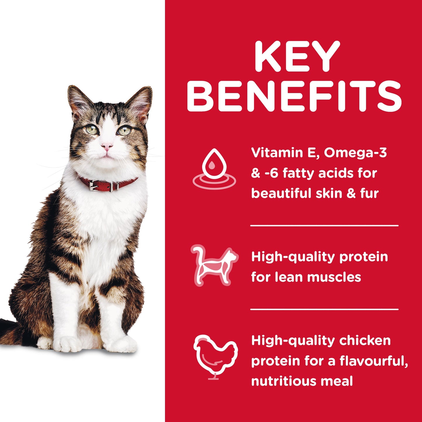 Hill's Science Diet Hairball Control Adult Dry Cat Food - Woonona Petfoods