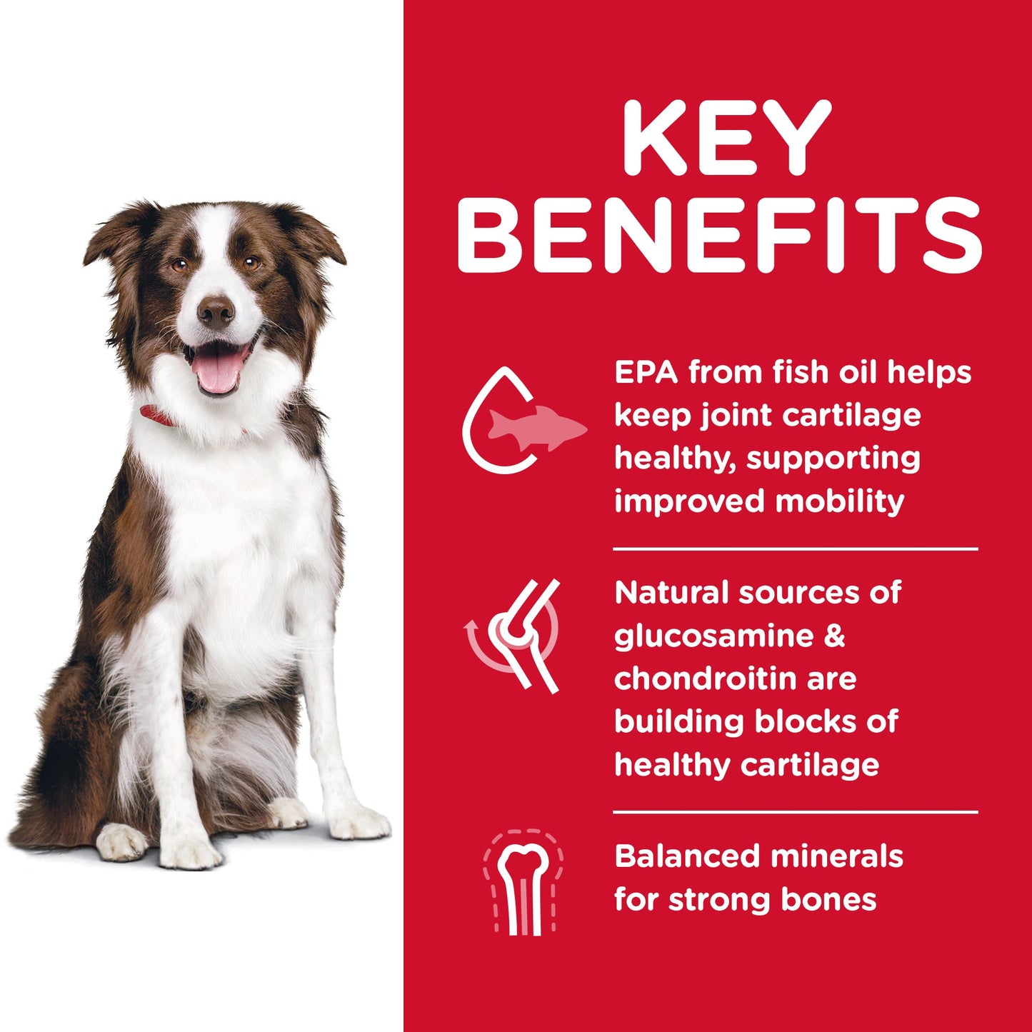 Hill's Science Diet Healthy Mobility Adult Large Breed Dry Dog Food 12kg - Woonona Petfoods