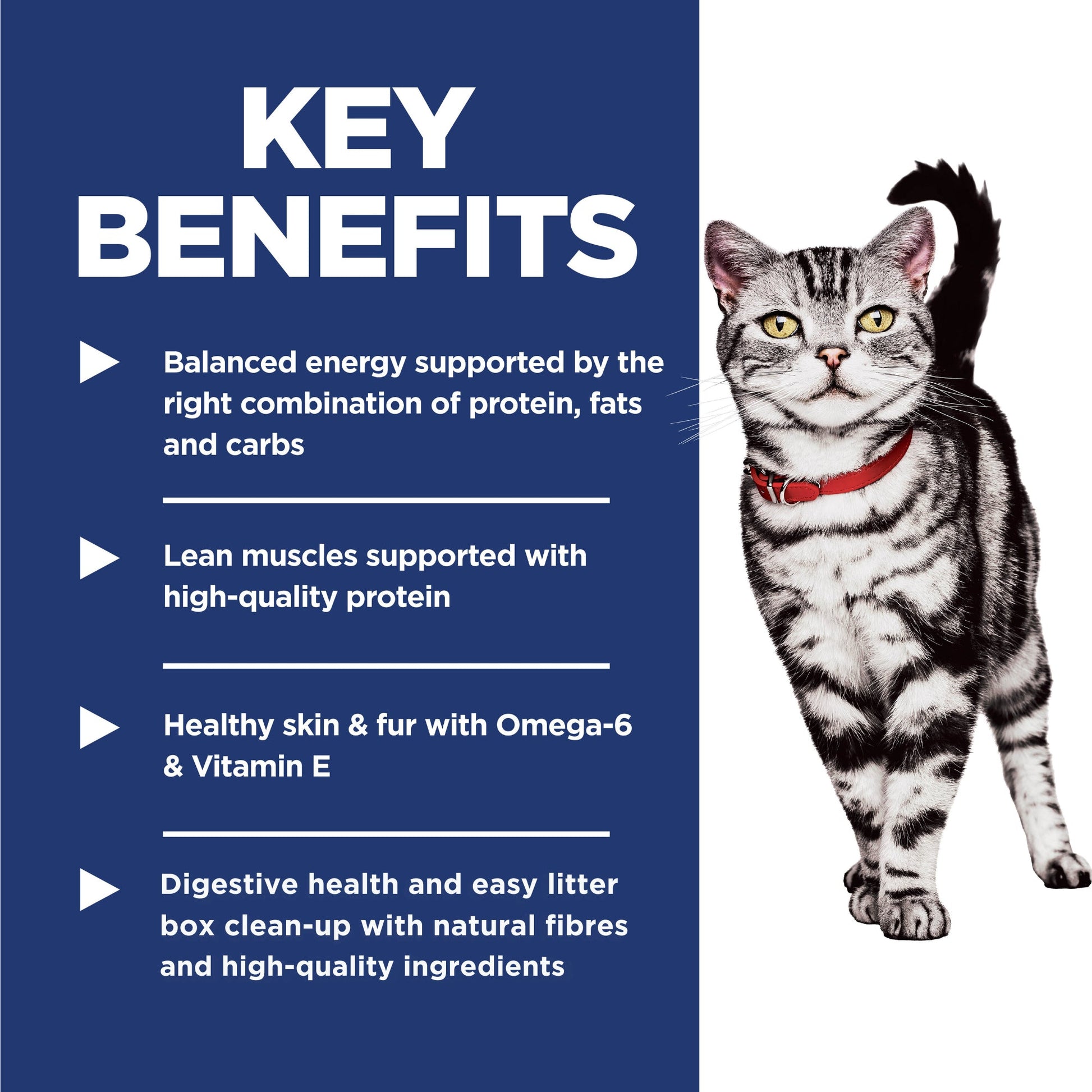 Hill's Science Diet Indoor Adult Dry Cat Food - Woonona Petfoods