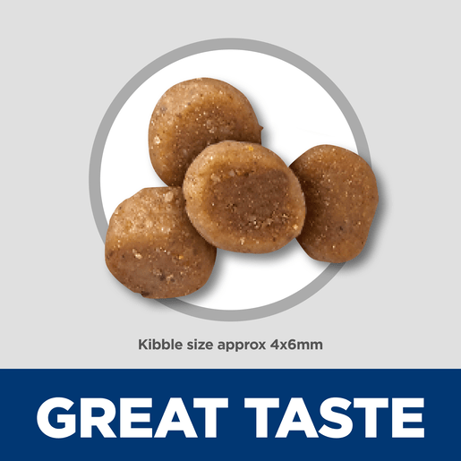 Hill's Science Diet Kitten Sensitive Stomach and Skin Salmon Dry Cat Food 1.58kg - Woonona Petfoods