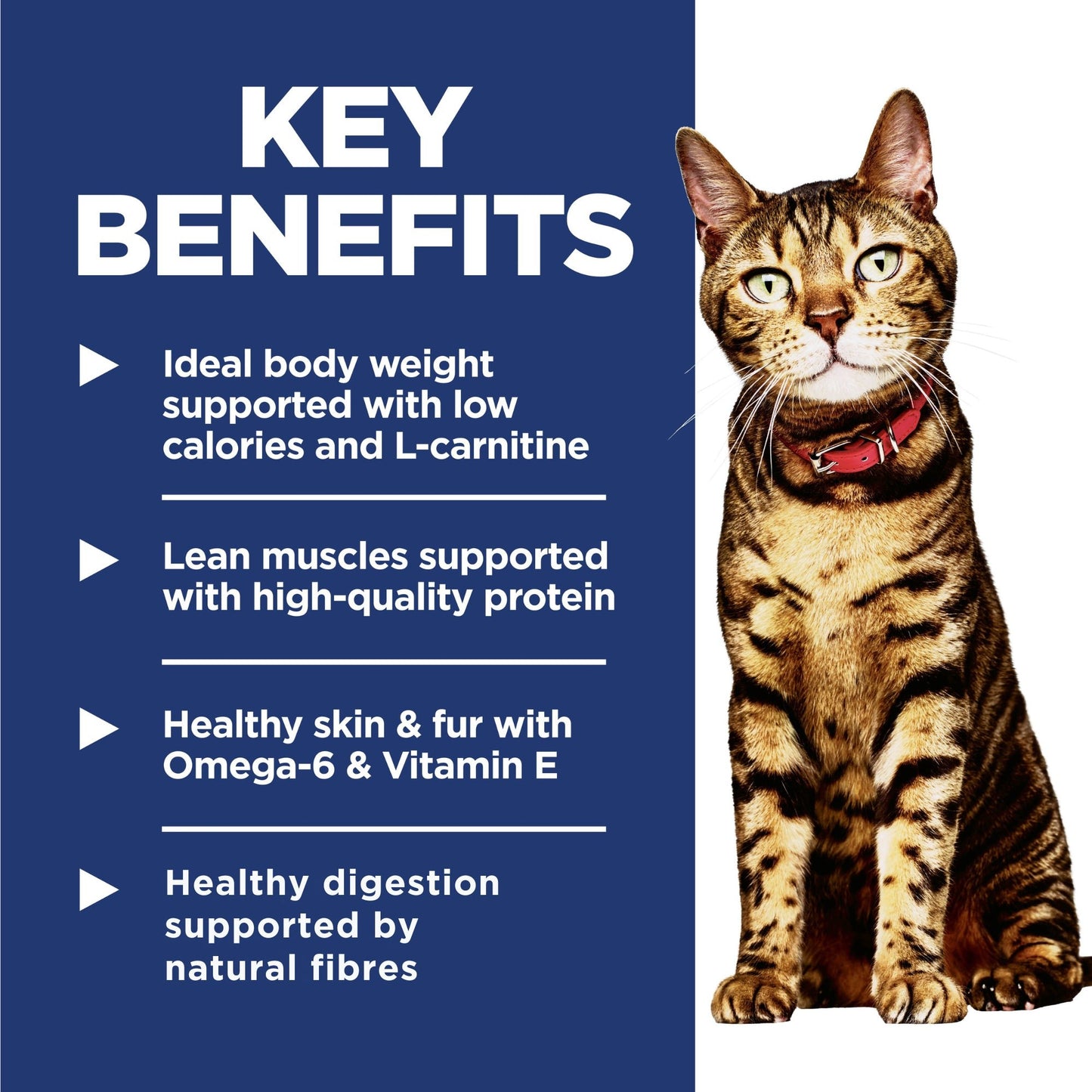 Hill's Science Diet Light Adult Dry Cat Food - Woonona Petfoods