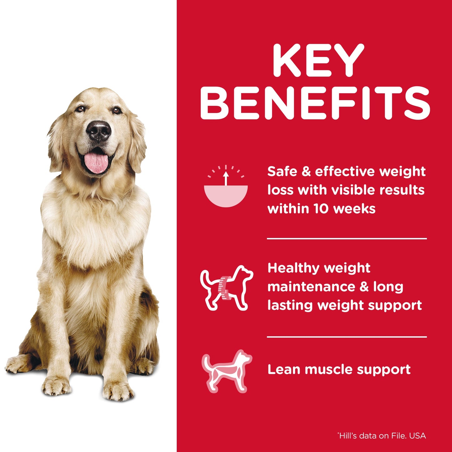 Hill's Science Diet Perfect Weight Canned Dog Food 363g - Woonona Petfoods
