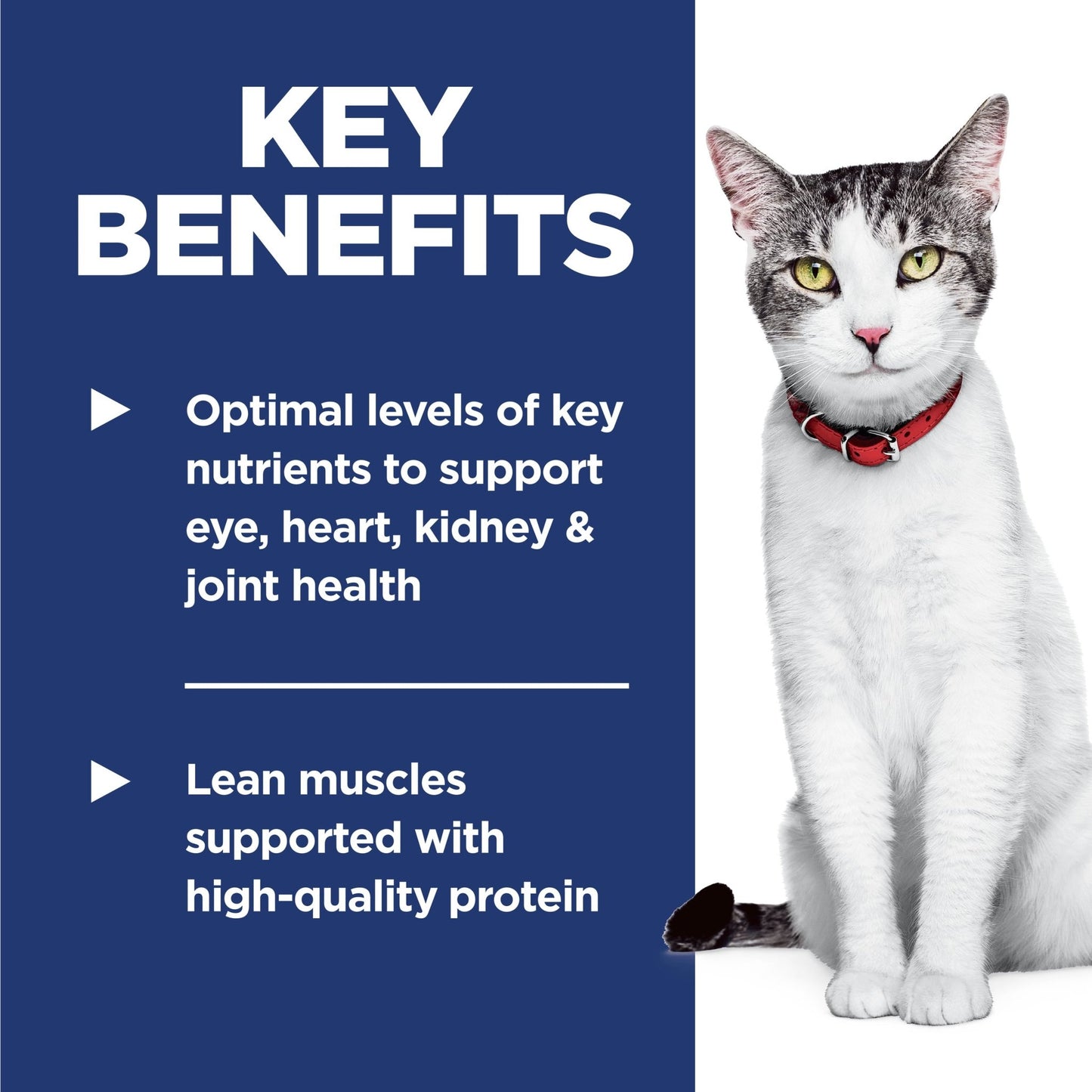 Hill's Science Diet Senior Adult 11+ Dry Cat Food - Woonona Petfoods