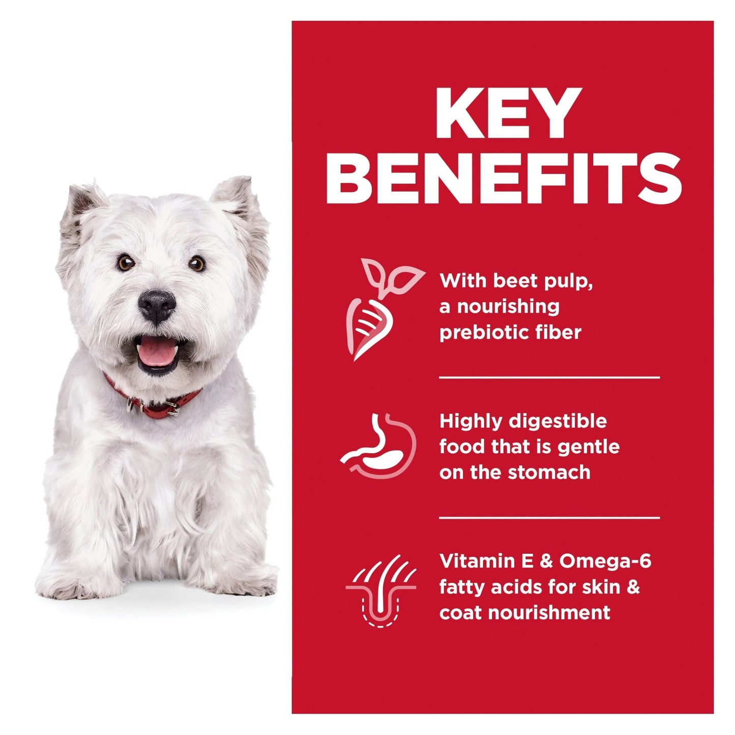 Hill's Science Diet Sensitive Skin and Stomach Adult Small Bites Dry Dog Food 6.8kg - Woonona Petfoods