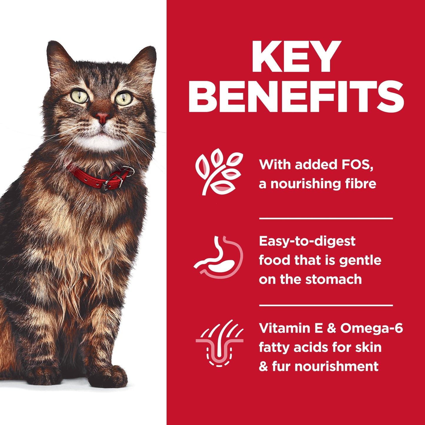 Hill's Science Diet Sensitive Stomach and Skin Cat Food Variety Pouches 12x79g - Woonona Petfoods
