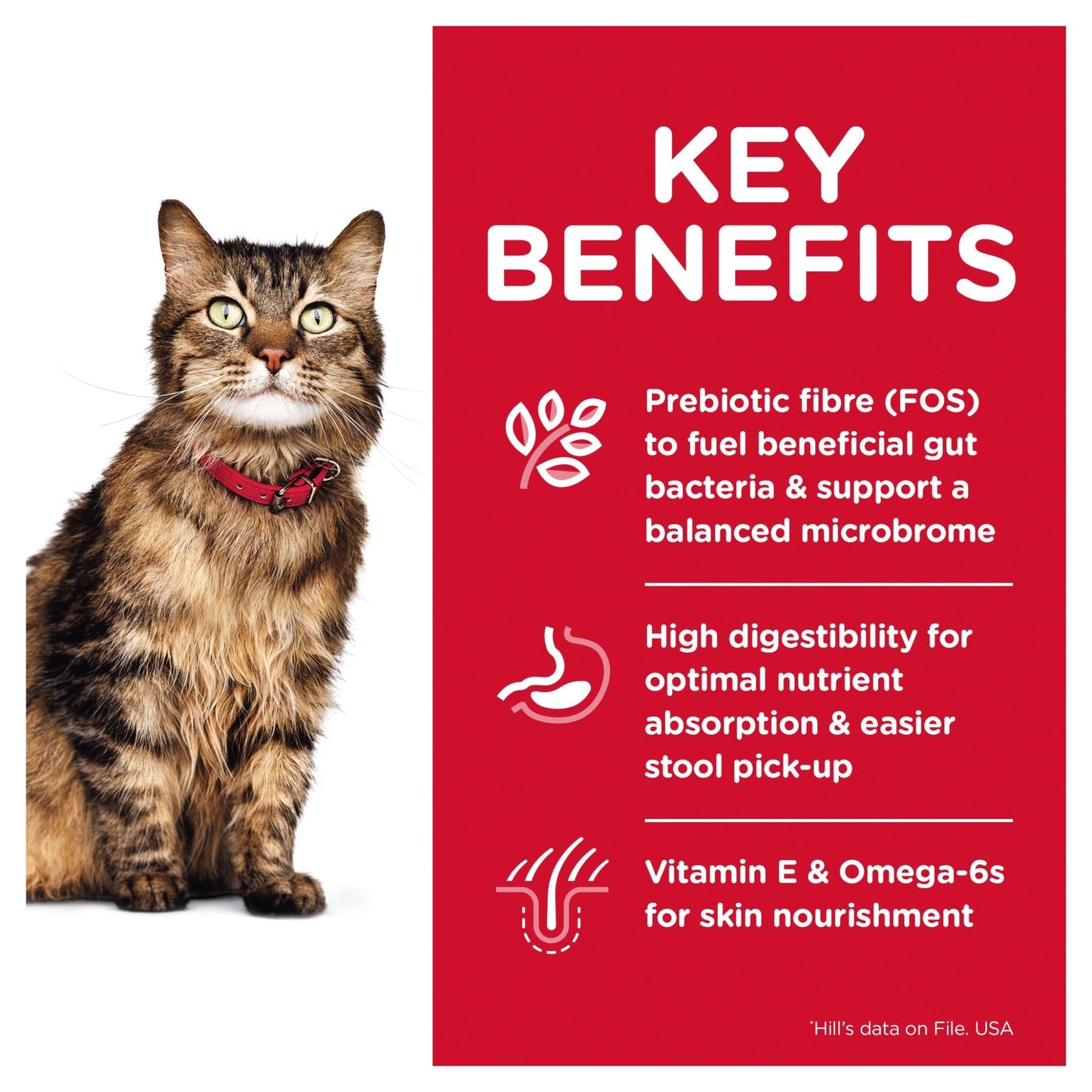 Hill's Science Diet Sensitive Stomach & Skin Adult Dry Cat Food - Woonona Petfoods