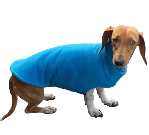 K9 Homes Long Neck Dachshund Dog Coat Blue - Woonona Petfoods