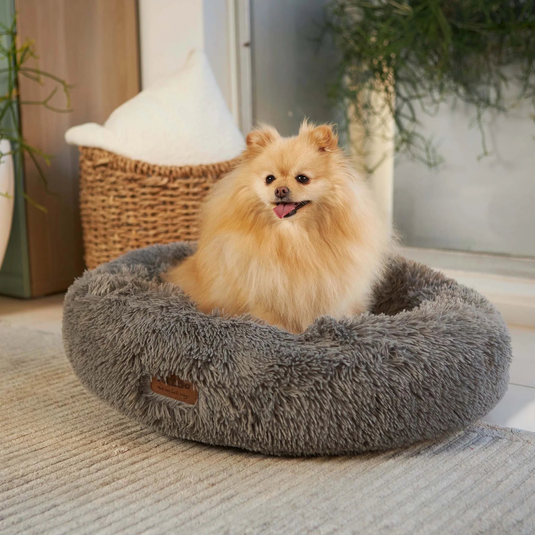 Kazoo Dog Bed Peacock Mud - Woonona Petfoods
