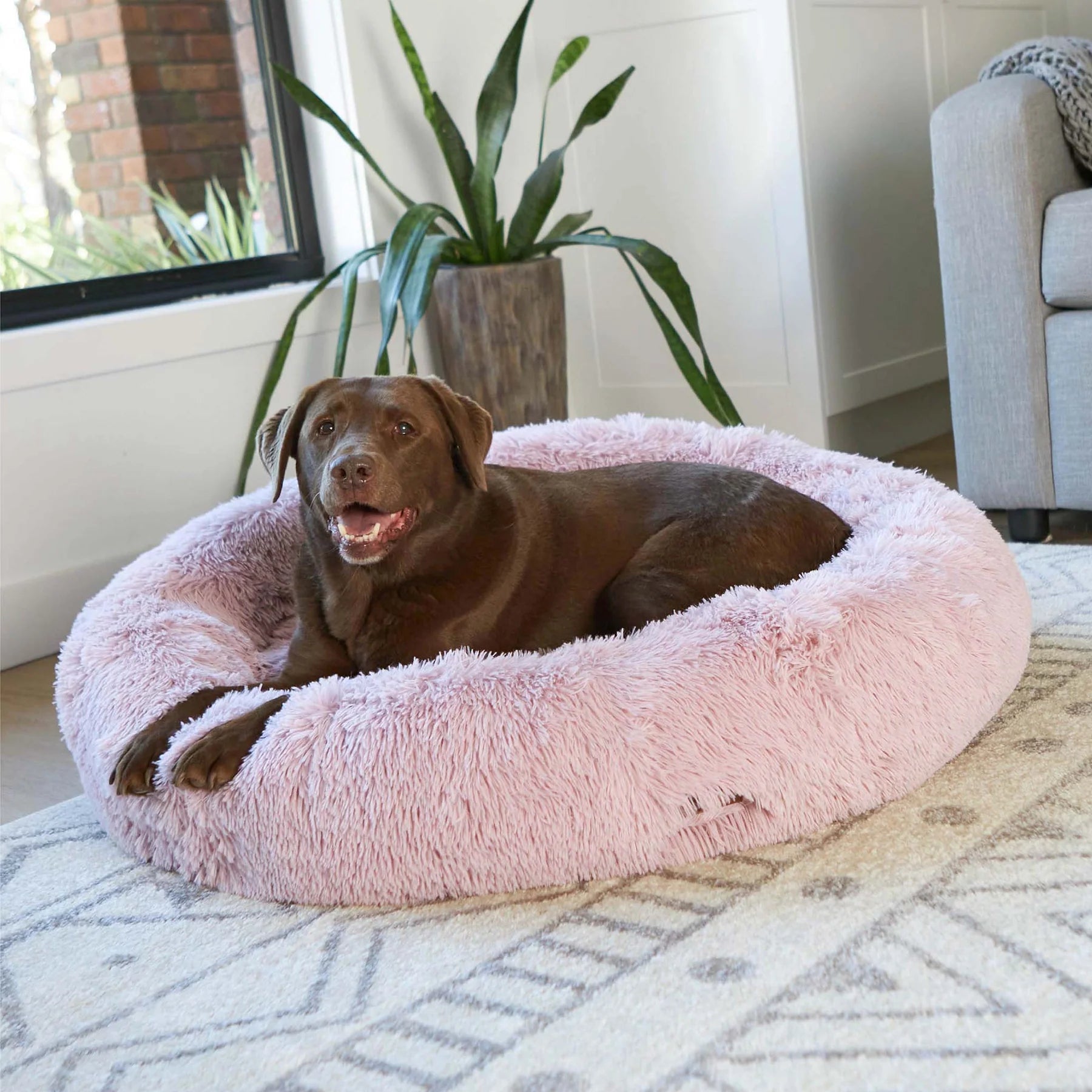 Kazoo Dog Bed Peacock Rose - Woonona Petfoods