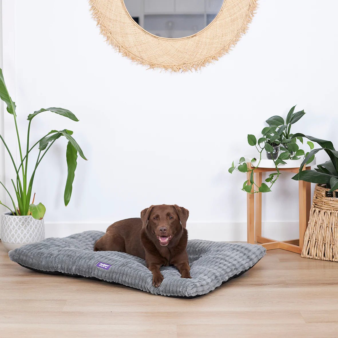 Kazoo Dog Bed Storm Pillow Cool Grey - Woonona Petfoods
