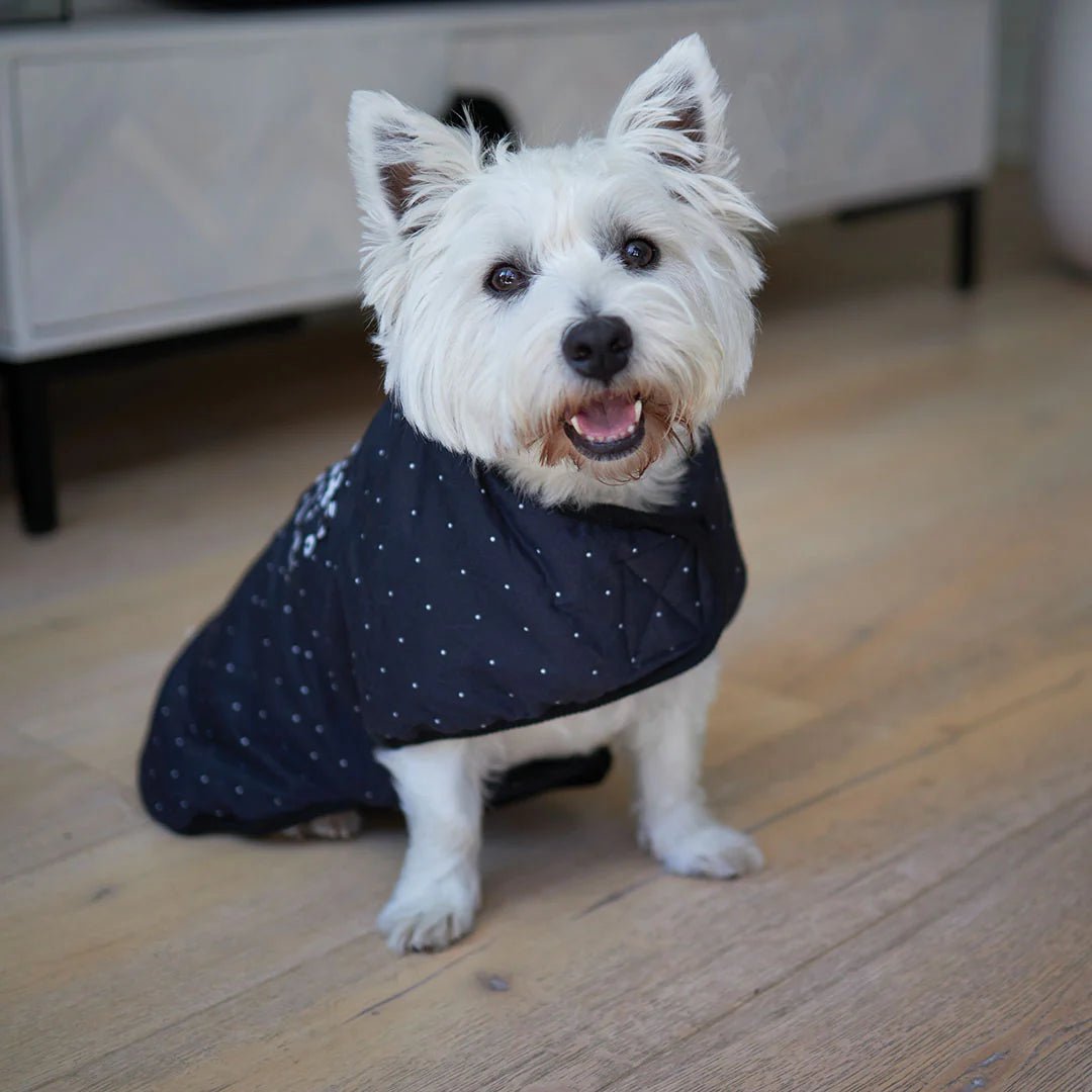 Kazoo Dog Coat Night Vision Reversible Snuggle 27cm - Woonona Petfoods