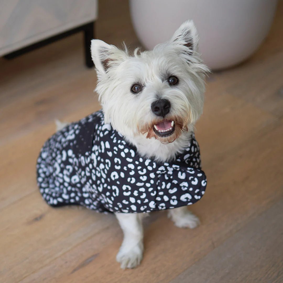 Kazoo Dog Coat Night Vision Reversible Snuggle 27cm - Woonona Petfoods
