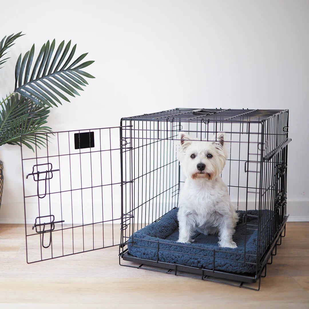 Kazoo Everyday Crate - Woonona Petfoods