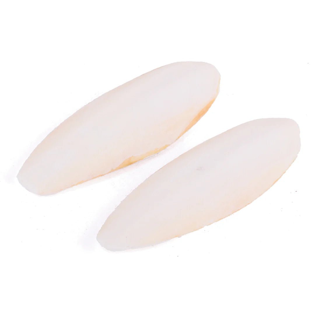 Kazoo Natural Cuttlebone Small 2 Pack - Woonona Petfood & Produce