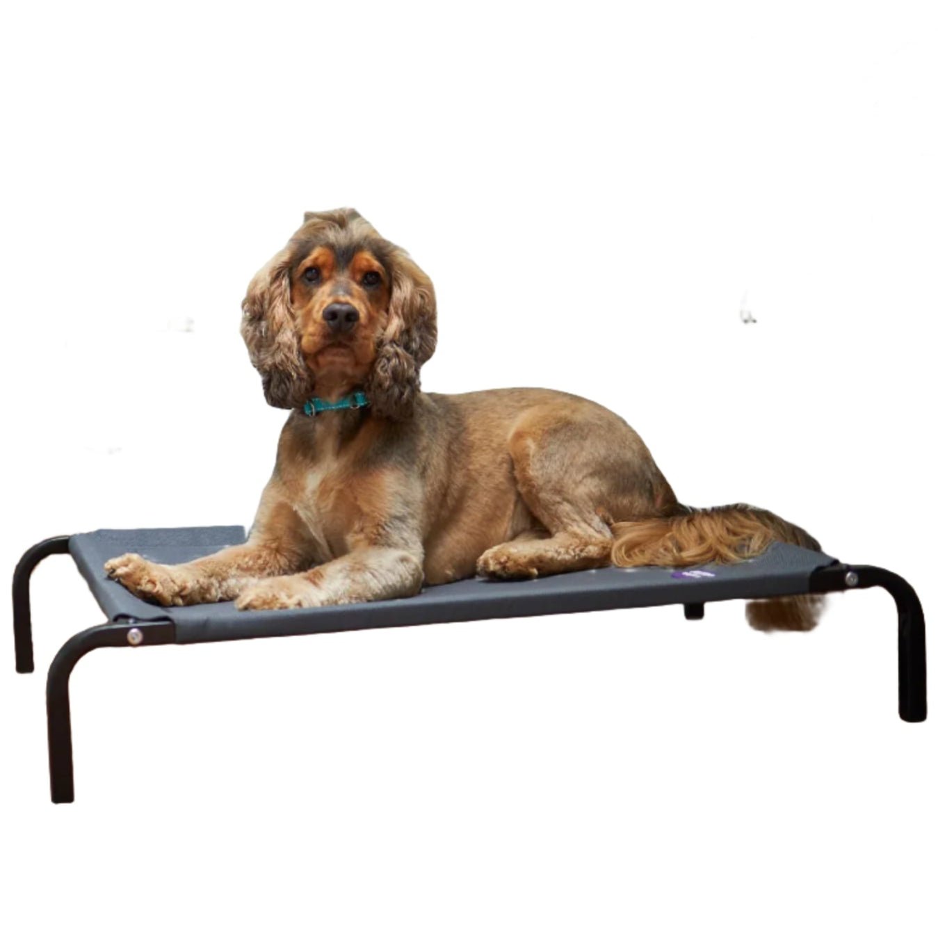 Kazoo Premium Outdoor Bed Charcoal - Woonona Petfoods