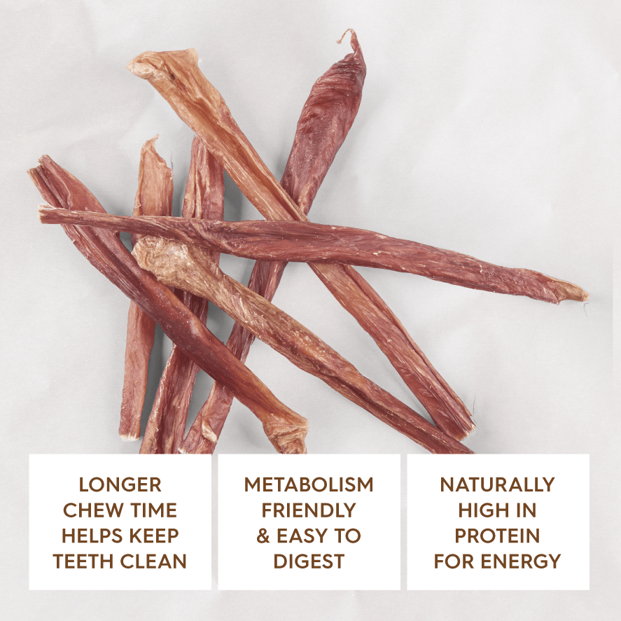 Kazoo Prime Cuts Beef Bladder Sticks 20cm 8 Pack - Woonona Petfoods
