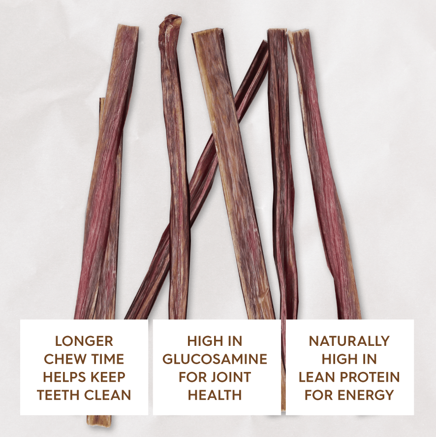 Kazoo Prime Cuts Beef Bully Sticks 20cm 5 Pack - Woonona Petfoods