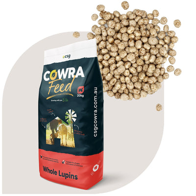 Lupins Whole 20kg
