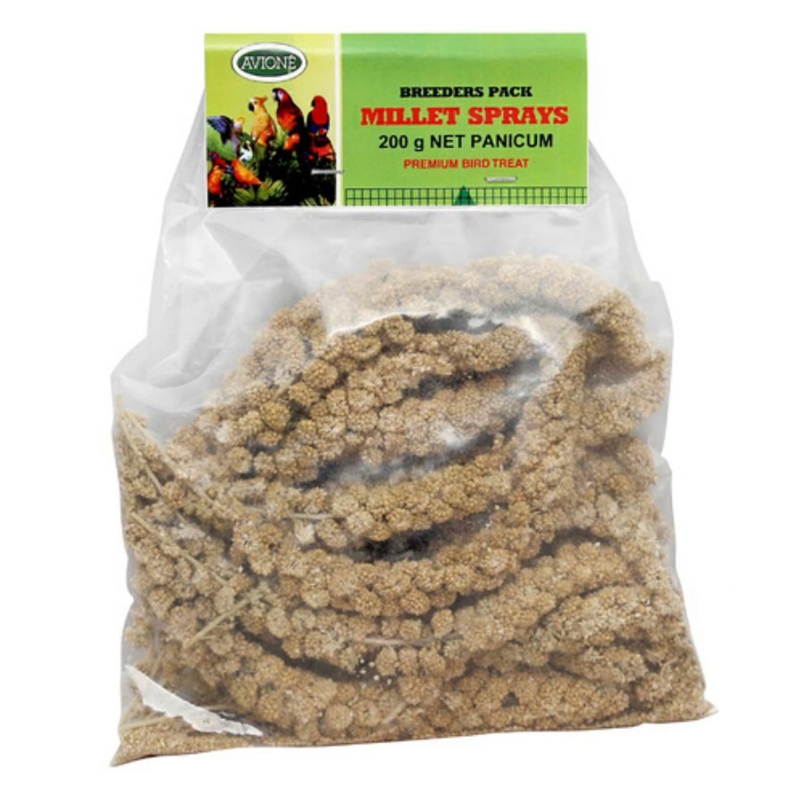 Millet Spray Panicum Avione - Woonona Petfoods
