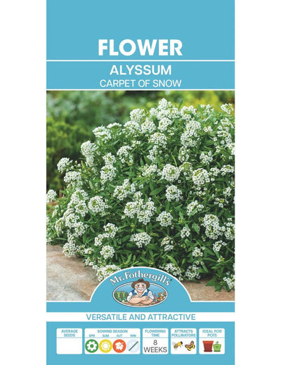 Mr Fothergills Alyssum Carpet Of Snow