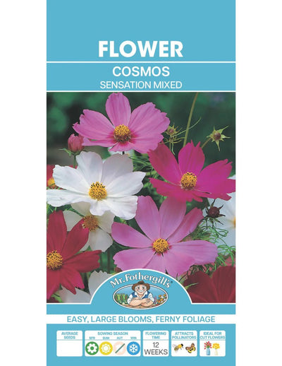 Mr Fothergills Cosmos Sensation MIxed