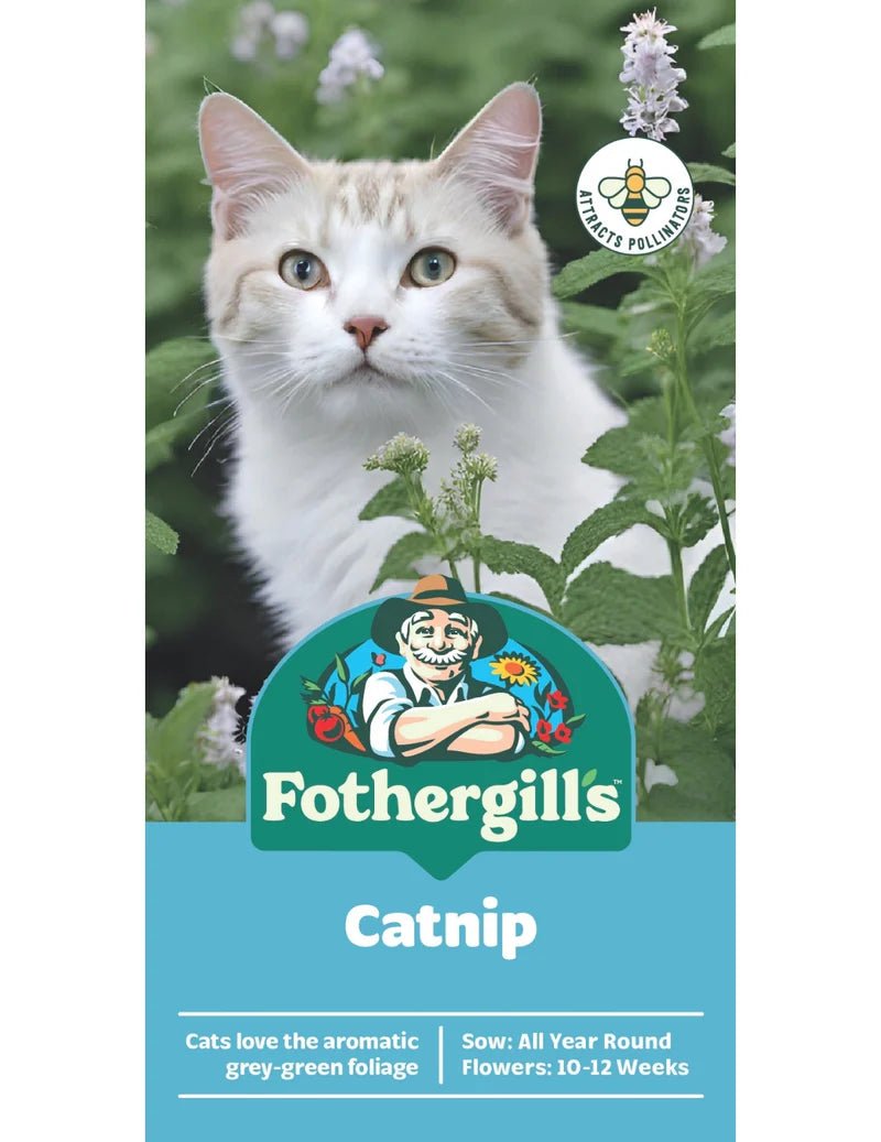 Mr Fothergills FOT Catnip - Woonona Petfoods