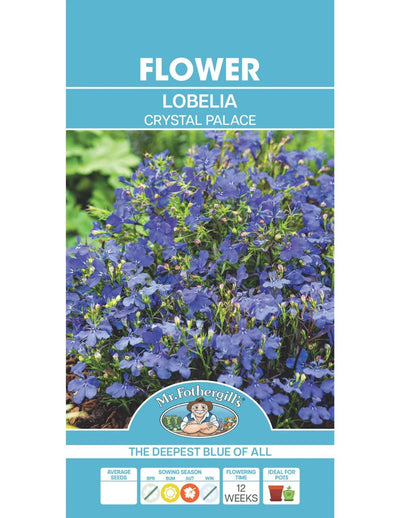 Mr Fothergills Lobelia Crystal Palace