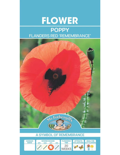 Mr Fothergills Poppy Remembrance