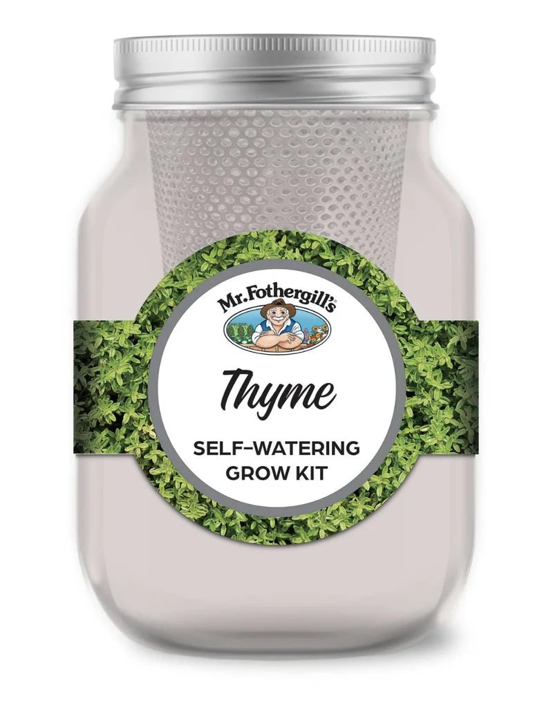 Mr Fothergill's Self Watering Mason Jar Thyme - Woonona Petfoods