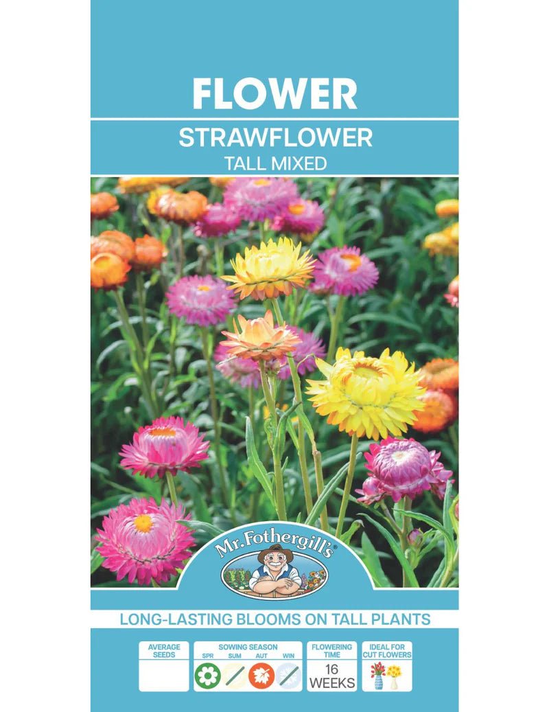 Mr Fothergills Strawflower Tall Mixed - Woonona Petfoods