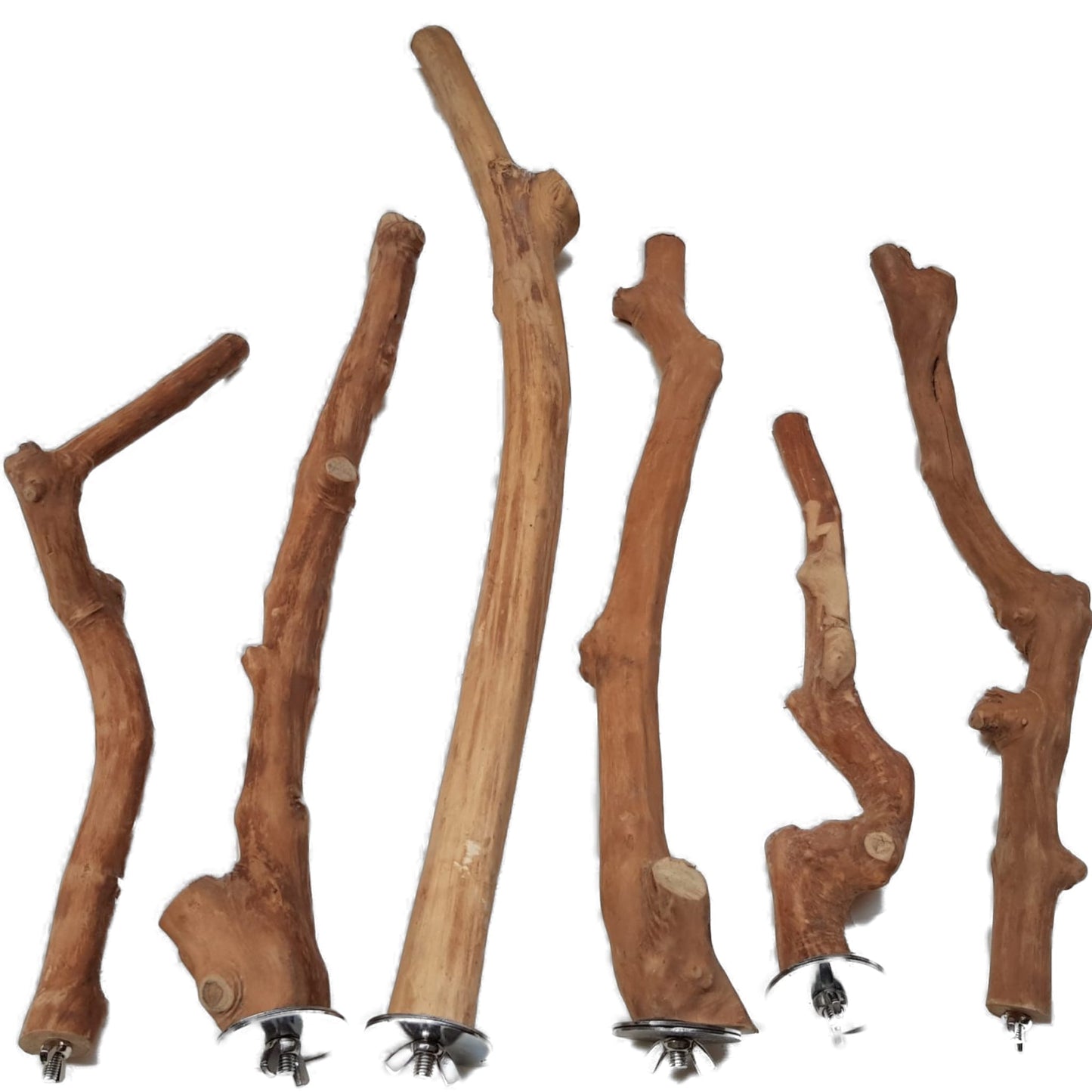 Ninos Java Single Bird Perch - Woonona Petfoods
