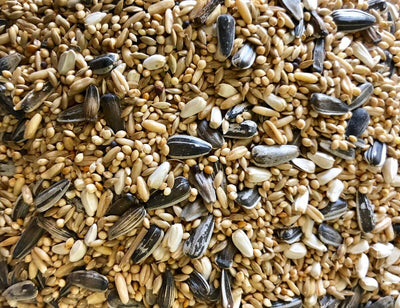 Peachface Mix Avgrain per