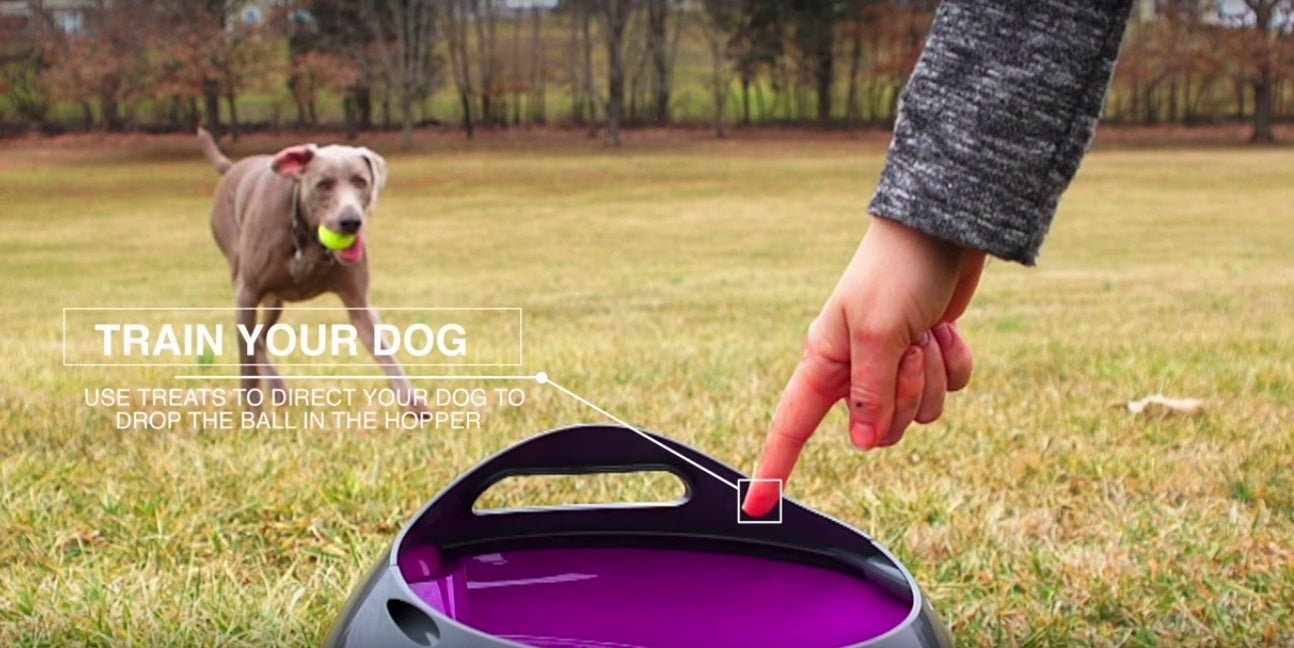 Petsafe Automatic Ball Launcher - Woonona Petfoods