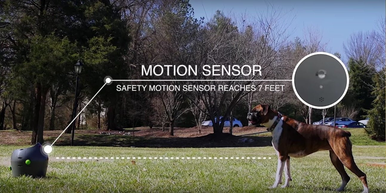 Petsafe Automatic Ball Launcher - Woonona Petfoods