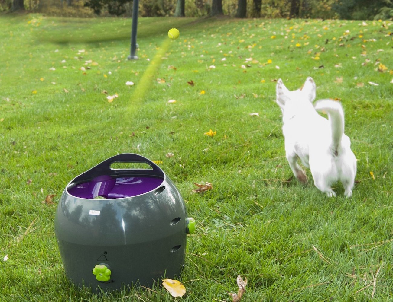 Petsafe Automatic Ball Launcher - Woonona Petfoods