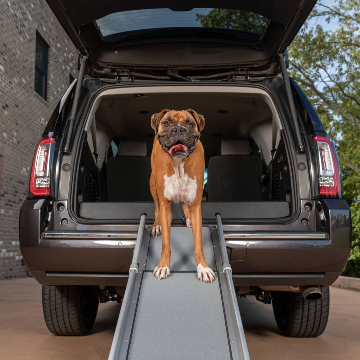 Petsafe Compact Telescoping Dog Ramp - Woonona Petfoods