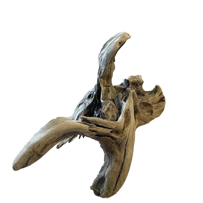 Pisces Natural Products NZ Exotic Wood - Woonona Petfoods