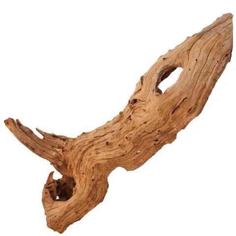 Pisces Natural Products River Wood - Woonona Petfoods