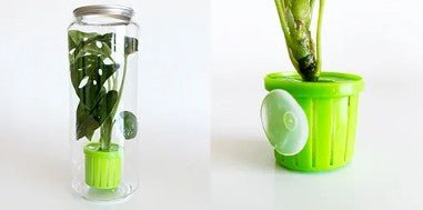 Plant Pod Plant Toppers Assorted - Woonona Petfoods
