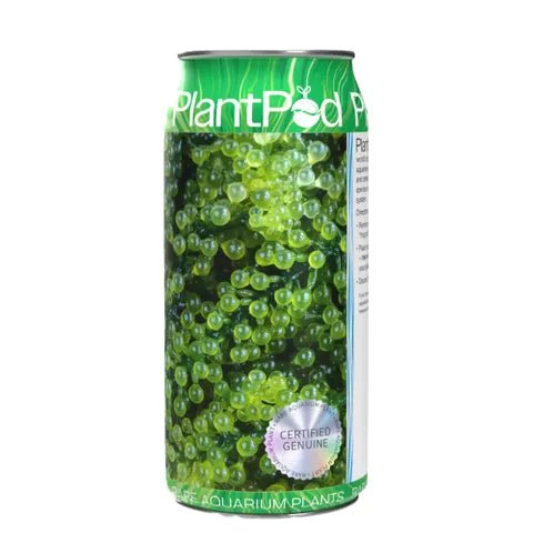 PlantPod Sea Grapes - Woonona Petfoods